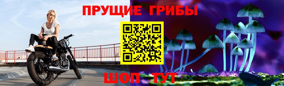 Рославль  Галлюциногенные грибы MAGIC MUSHROOMS  Вход с VPN 